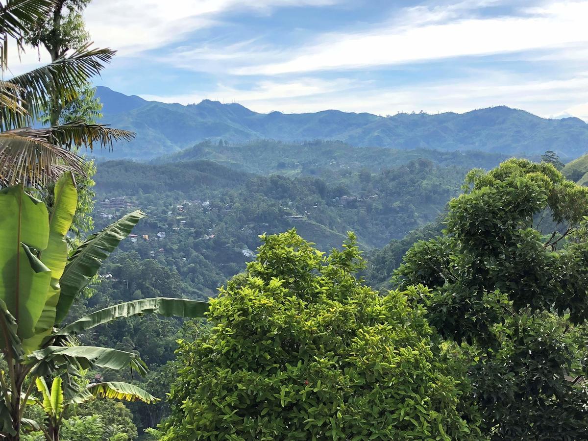 Royal Mount Ella Bed & Breakfast Luaran gambar